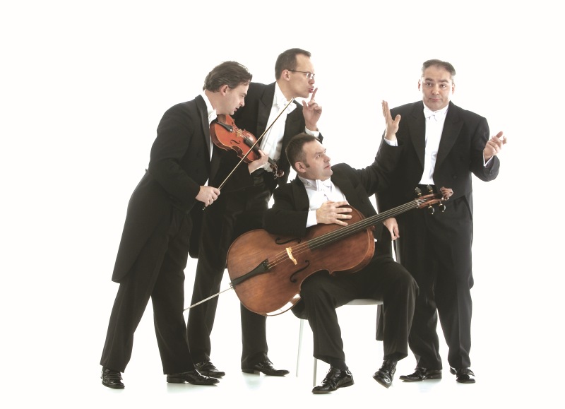picture MozART Group